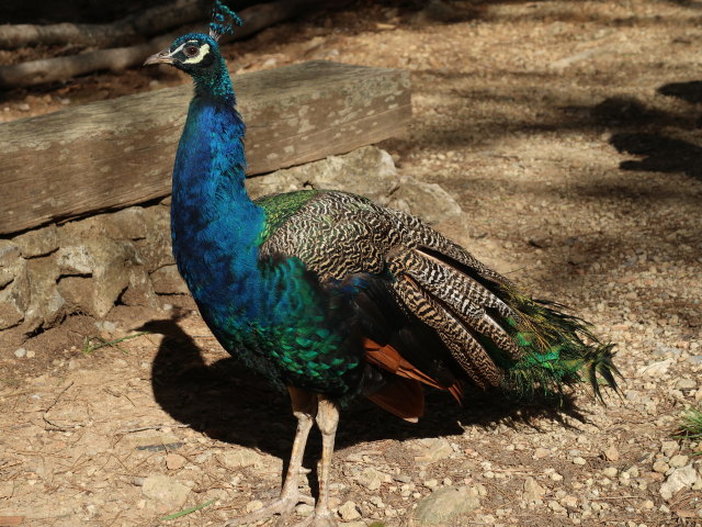 Reserva Park Puig de Galatz&oacute; (22. Nov.)