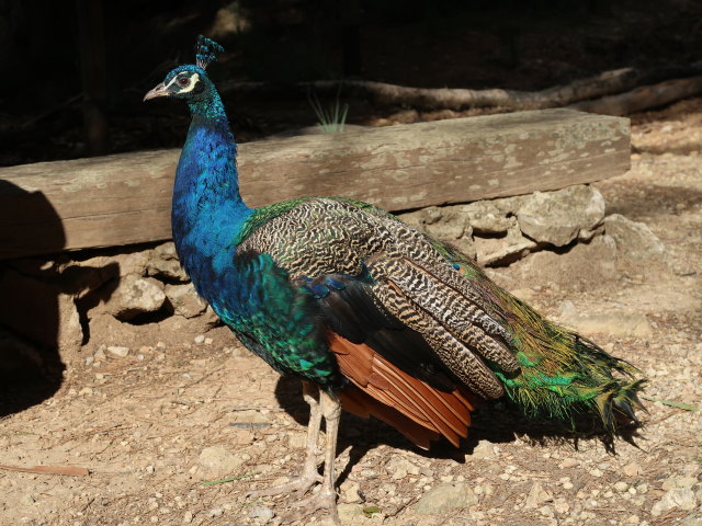 Reserva Park Puig de Galatz&oacute; (22. Nov.)