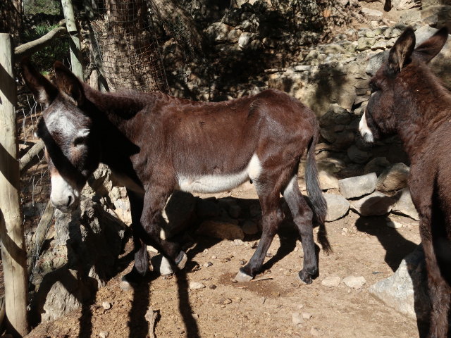 Reserva Park Puig de Galatz&oacute; (22. Nov.)