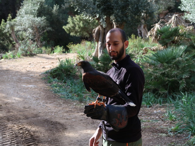 Reserva Park Puig de Galatz&oacute; (22. Nov.)