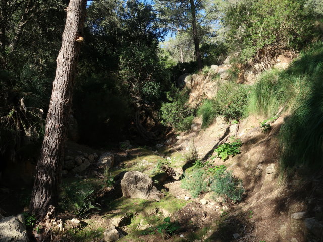 Reserva Park Puig de Galatz&oacute; (22. Nov.)