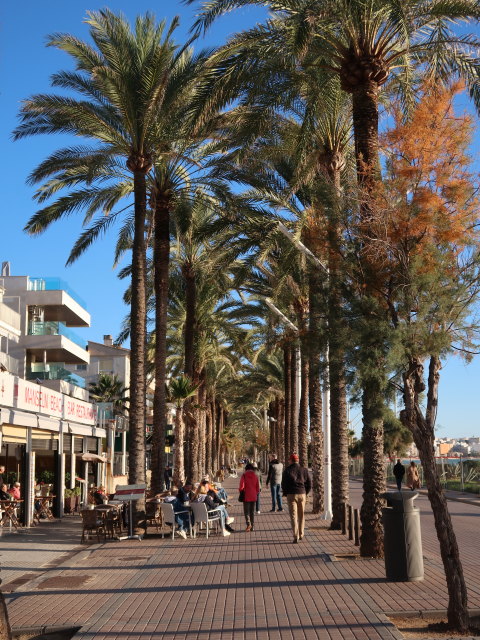 Carretera de l'Arenal in Palma (22. Nov.)