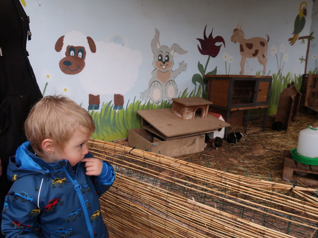 Nils in Fresopolis Mallorca (23. Nov.)