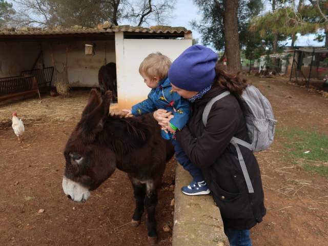 Nils und Sabine in Fresopolis Mallorca (23. Nov.)