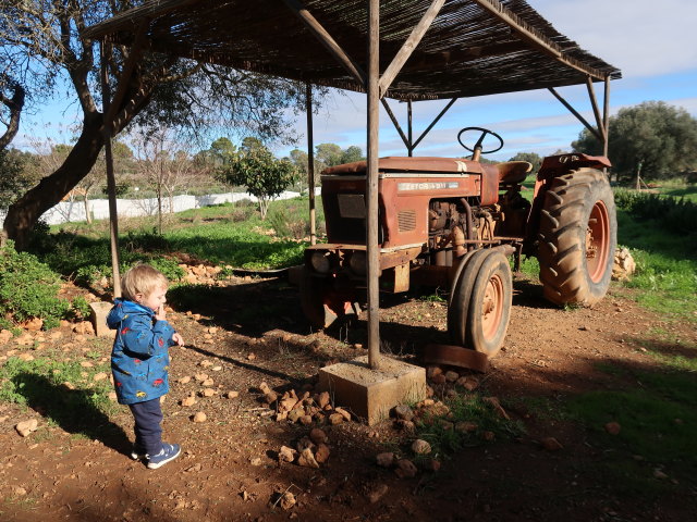 Nils in Fresopolis Mallorca (23. Nov.)