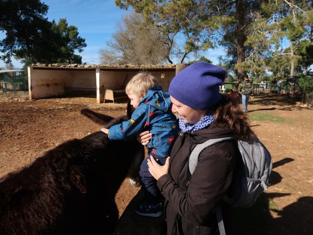 Nils und Sabine in Fresopolis Mallorca (23. Nov.)