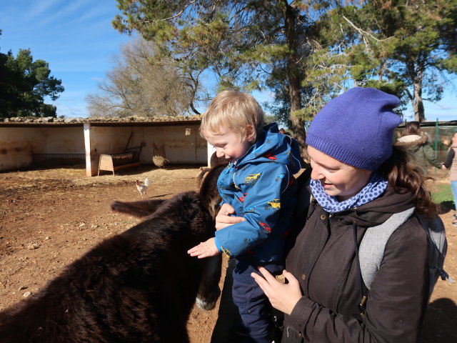 Nils und Sabine in Fresopolis Mallorca (23. Nov.)
