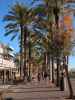 Carretera de l'Arenal in Palma (22. Nov.)