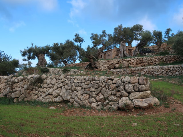 Finca Son Moragues (24. Nov.)