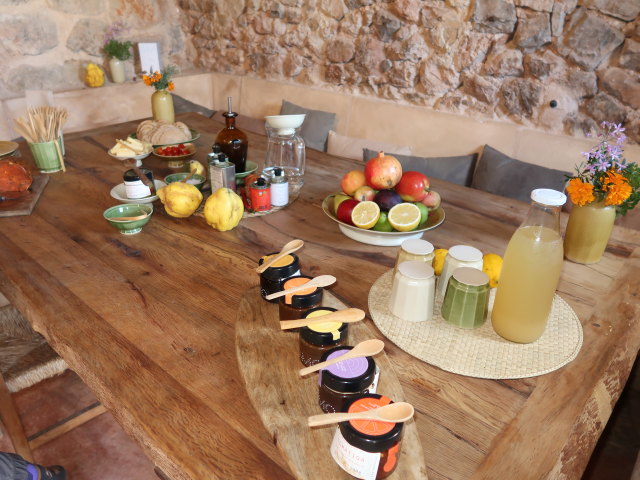 Finca Son Moragues (24. Nov.)