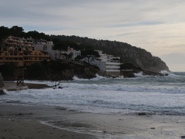 Platja des Geperut in Sant Elm (24. Nov.)