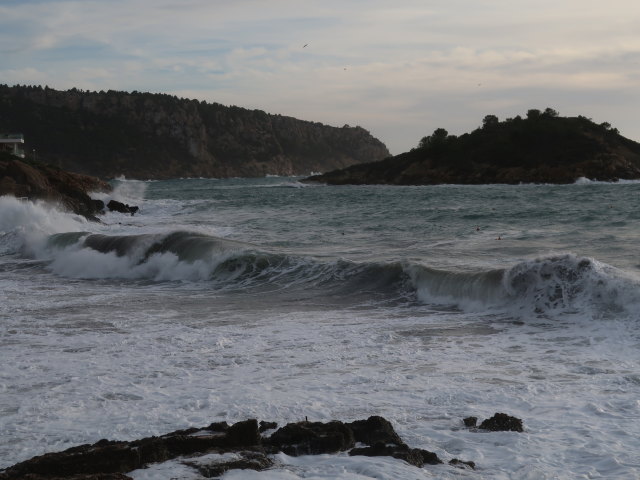 La Illa Pantaleu (24. Nov.)