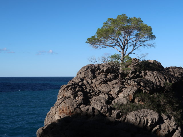 Cala de Sa Calobra (26. Nov.)