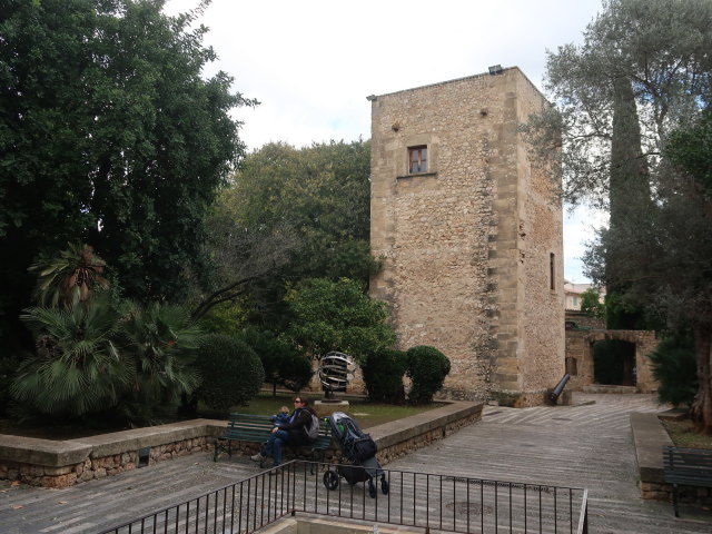 Nils und Sabine in den Jardins de Joan March in Pollen&ccedil;a (27. Nov.)
