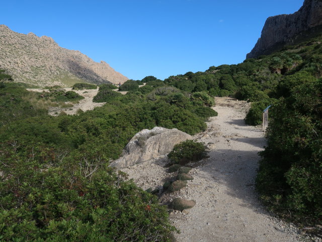 Vall de Boquer (27. Nov.)