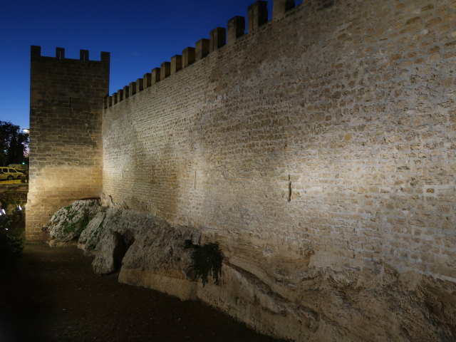 Murades d'Alc&uacute;dia (28. Nov.)