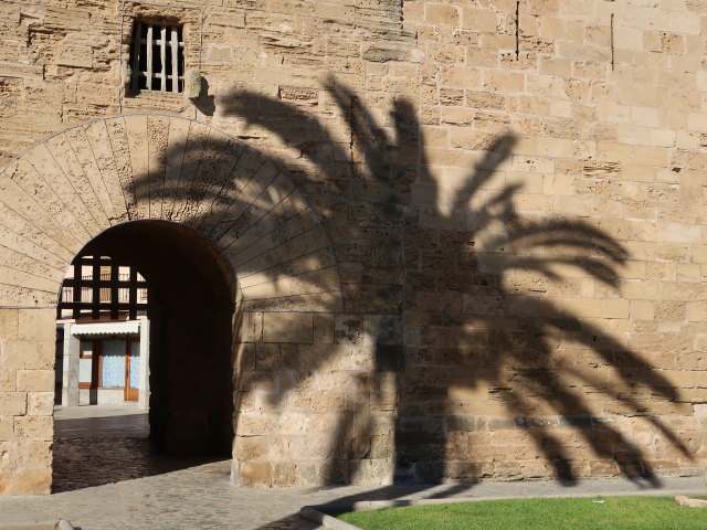 Porta del Moll in Alc&uacute;dia (29. Nov.)