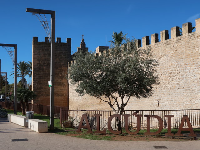 Murades d'Alc&uacute;dia (29. Nov.)