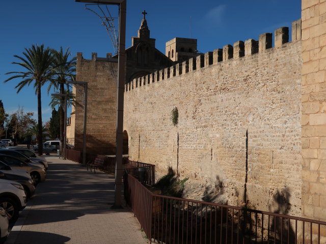 Murades d'Alc&uacute;dia (29. Nov.)