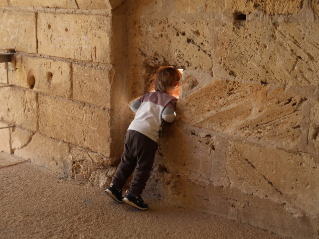 Nils in den Murades d'Alc&uacute;dia (29. Nov.)