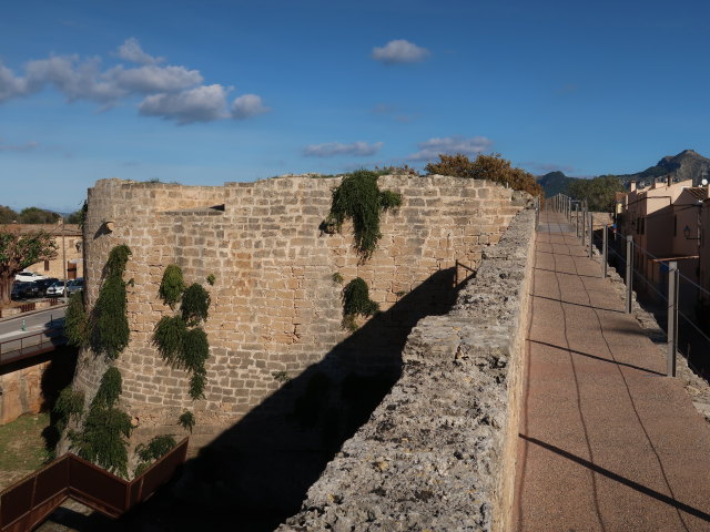 Murades d'Alc&uacute;dia (29. Nov.)