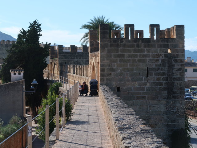 Nils und Sabine auf den Murades d'Alc&uacute;dia (29. Nov.)