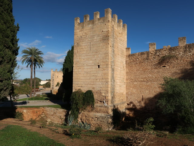 Murades d'Alc&uacute;dia (29. Nov.)