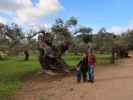 Nils, Sabine und ich in der Finca Son Moragues (24. Nov.)
