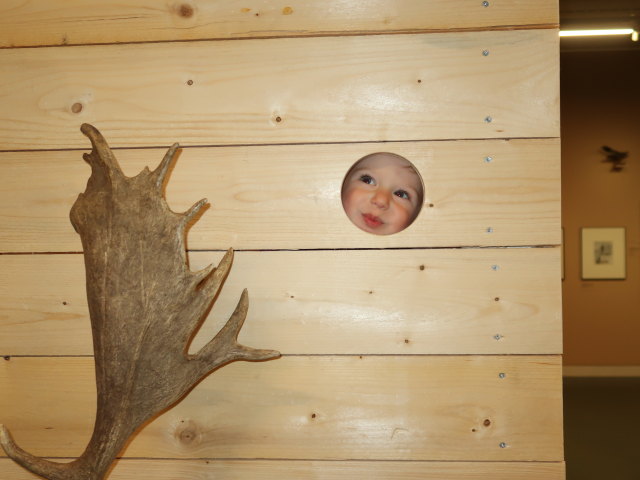 Nils in der Sonderausstellung 'Sehnsucht Wald'