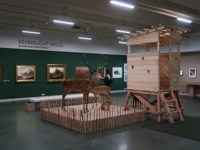 Sonderausstellung 'Sehnsucht Wald'