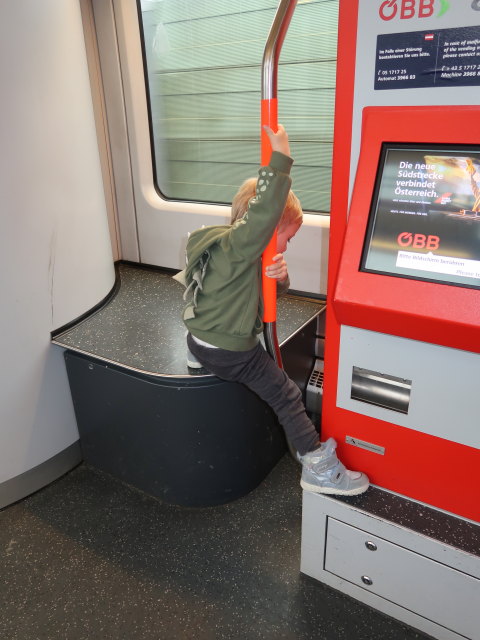 Nils im R 7028 zwischen P&ouml;chlarn und Erlauf