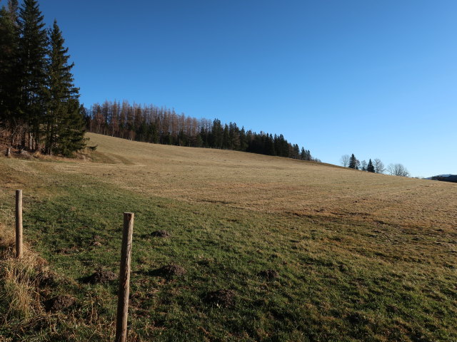 zwischen Orthof und Speckbacherh&uuml;tte