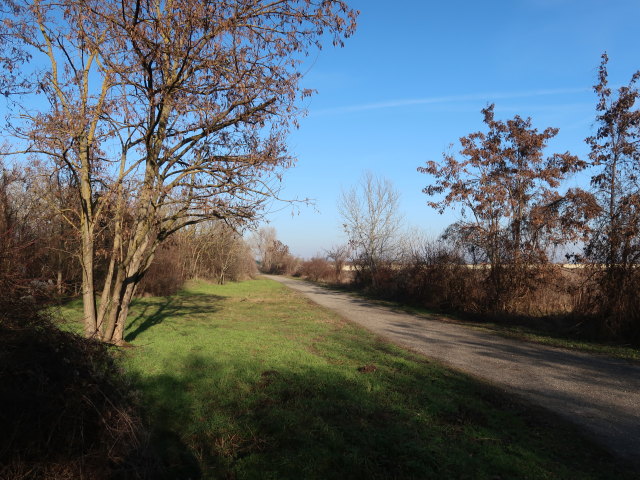 zwischen S&uuml;&szlig;enbrunn und Breitenlee