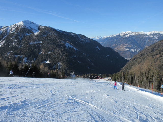 B&auml;rnbissabfahrt