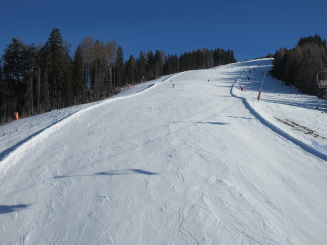 B&auml;rnbissabfahrt