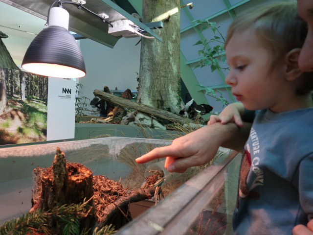 Nils im Haus f&uuml;r Natur