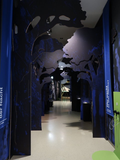 Sonderausstellung 'Tiere der Nacht'