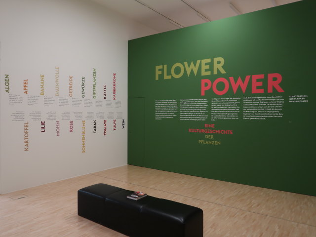 Ausstellung 'Flower Power - Eine Kulturgeschichte der Pflanzen'