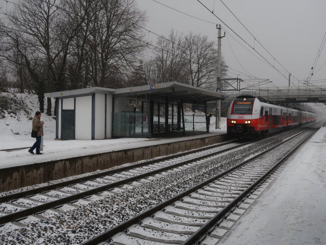S 28589 im Bahnhof Perchtoldsdorf (10. J&auml;n.)