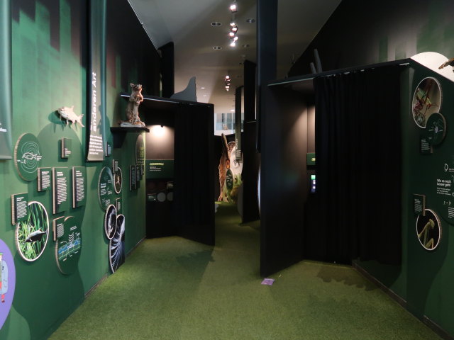 Sonderausstellung 'Tiere der Nacht'