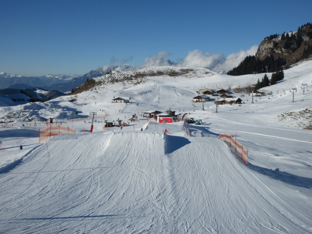 Snowpark Horn