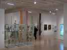 Ausstellung 'Flower Power - Eine Kulturgeschichte der Pflanzen'