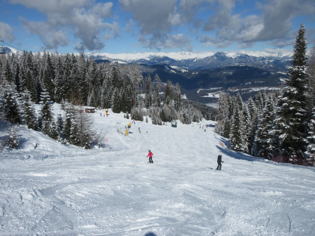 Tressdorfer-Alm-Abfahrt