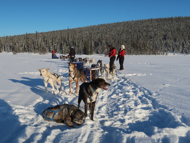 zwischen Piettarasj&auml;rvi und Sautusj&auml;rvi (21. Feb.)