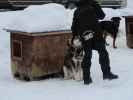 Basis von Arctic Dogsled Adventure in Laxforsen (20. Feb.)