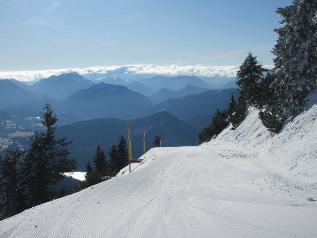 Birkiweg