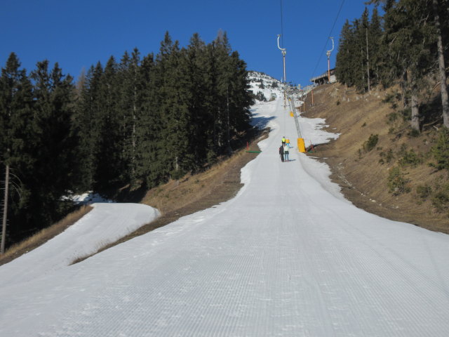 Birkisachlepper