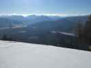 Birkihang