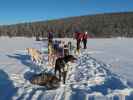 zwischen Piettarasj&auml;rvi und Sautusj&auml;rvi (21. Feb.)
