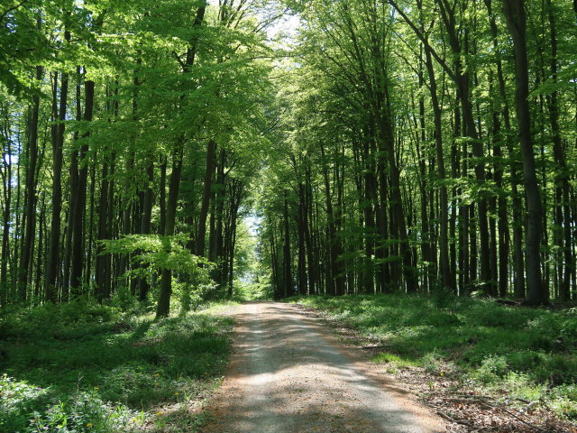 Hochbuch